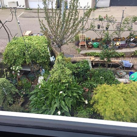 Reiwa Bed & Breakfast Amsterdam Eksteriør bilde